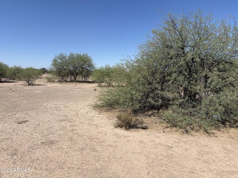 LAND - Eloy, AZ