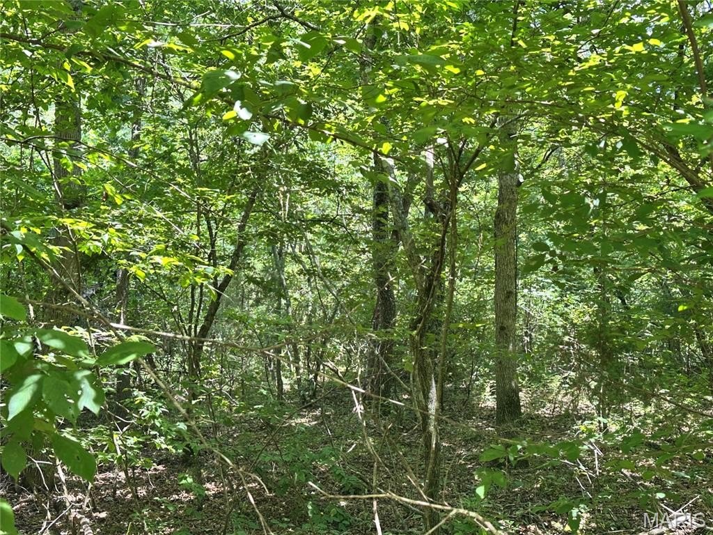 Picture 7