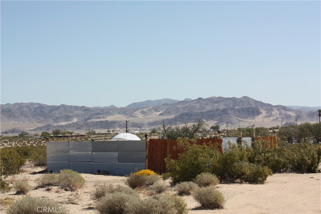 Picture 6