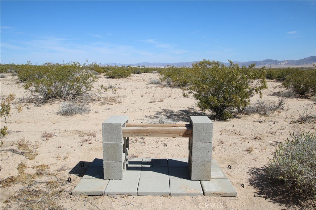 Picture 15