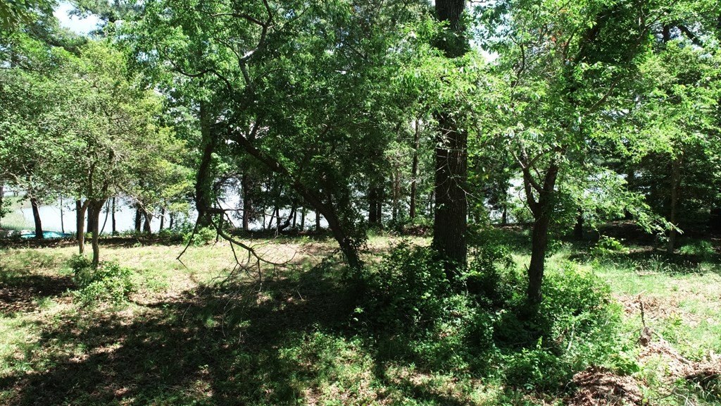 Picture 21
