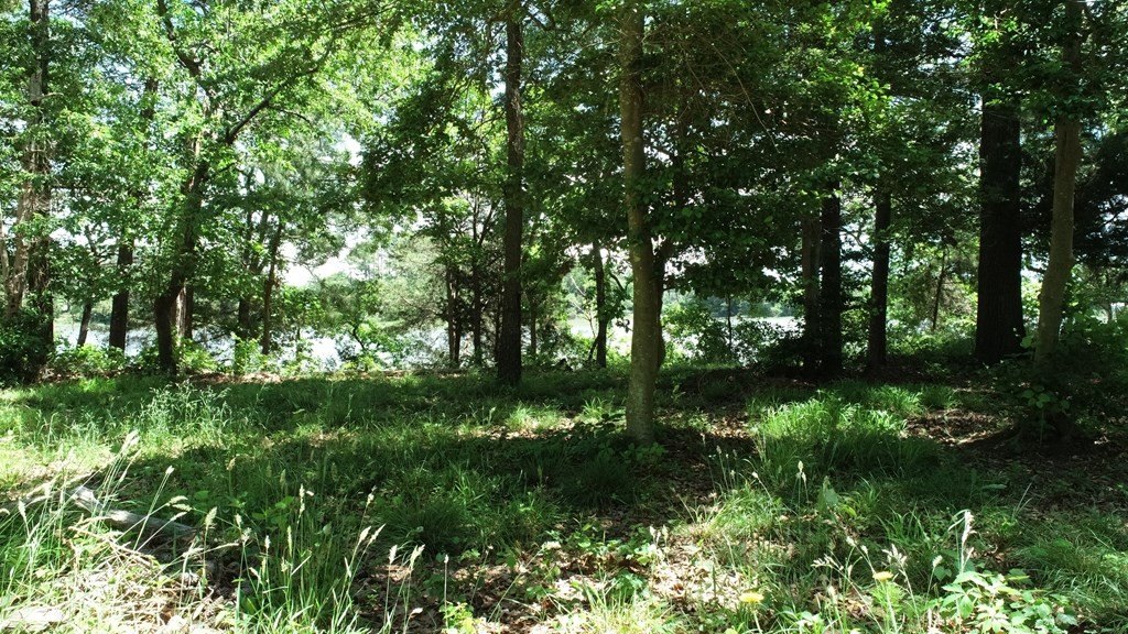 Picture 26