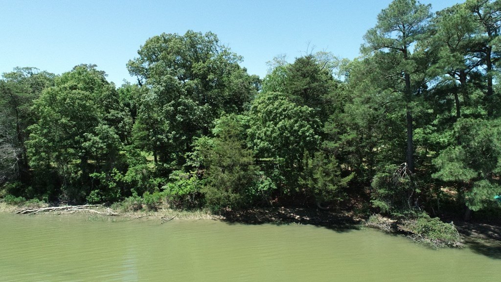 Picture 17