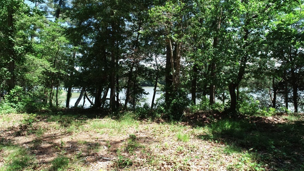 Picture 24
