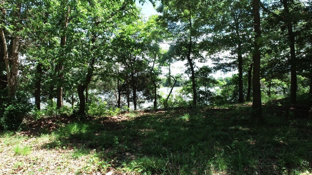 Picture 25