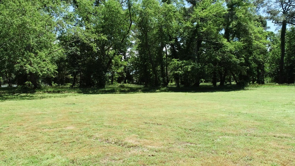 Picture 30
