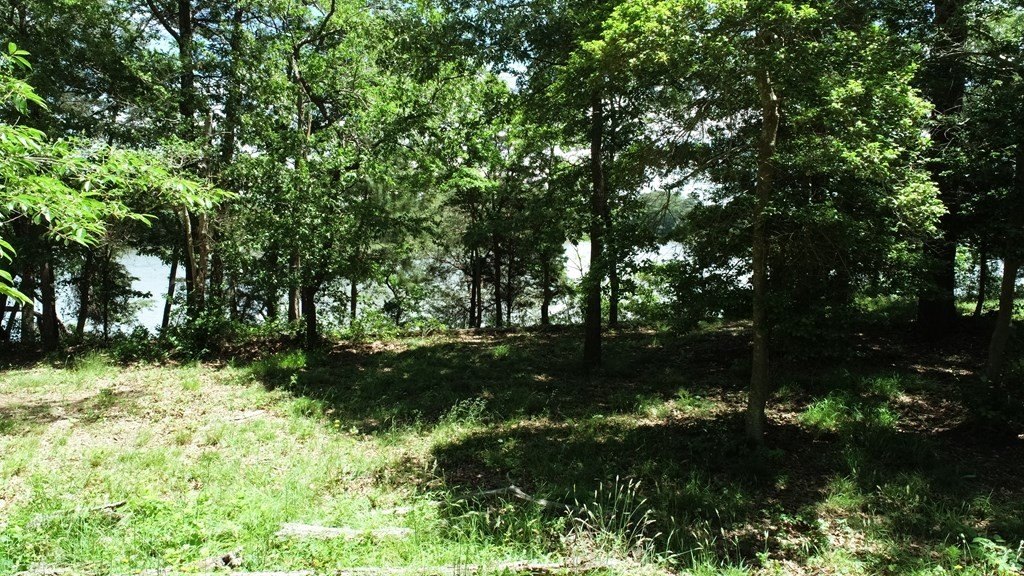 Picture 22