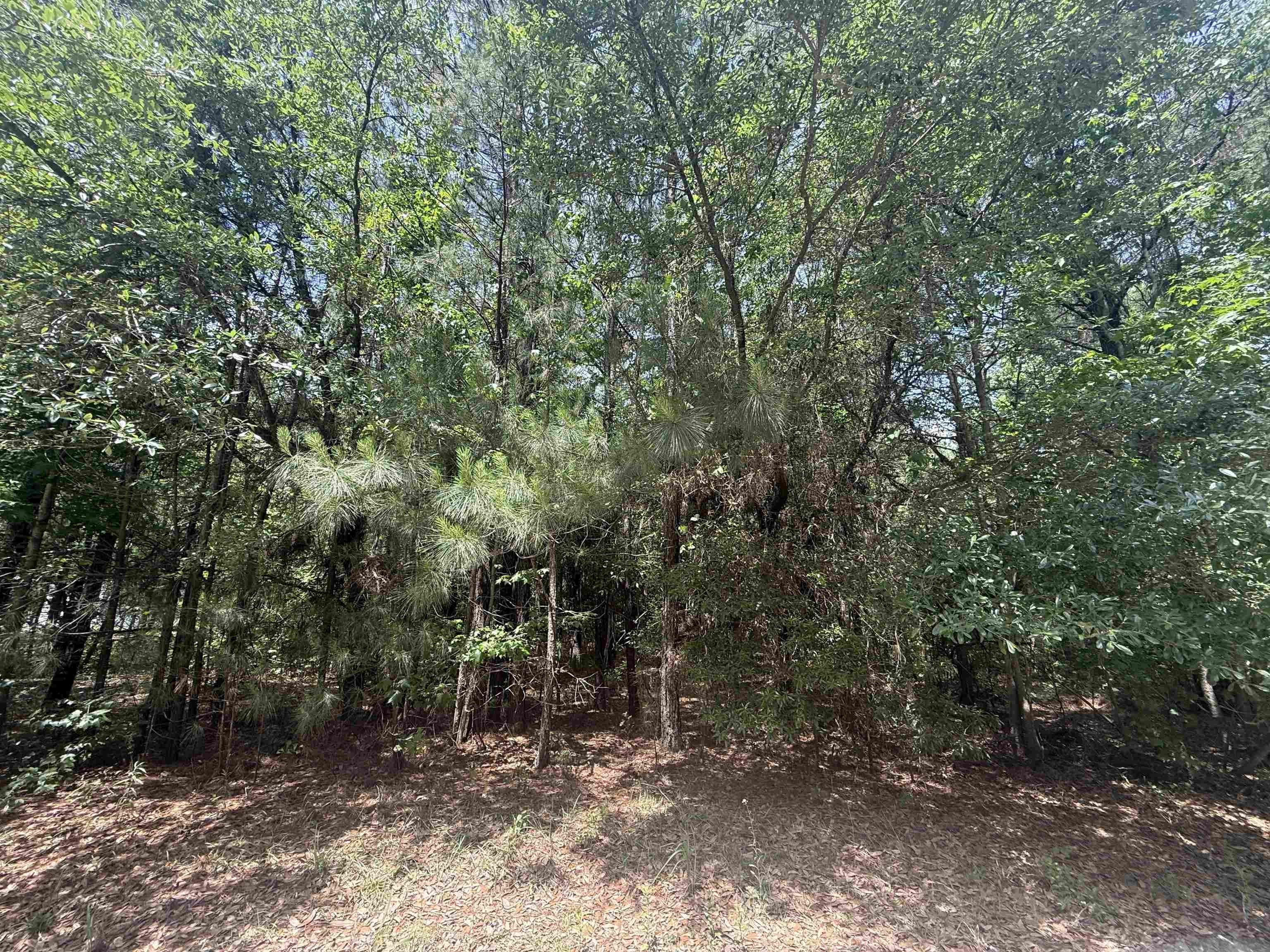 Residential Land in Earles Community