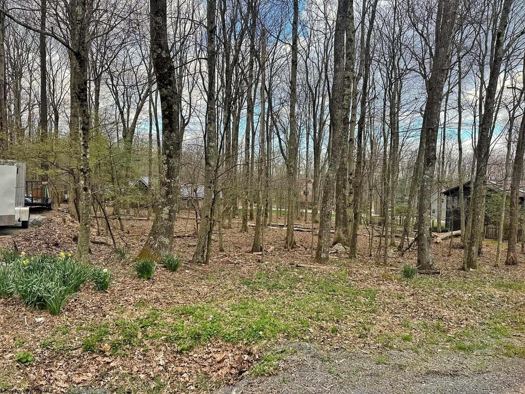 Picture 5