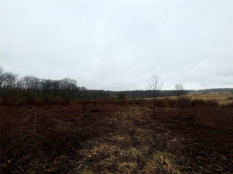 Secluded Land Parcel in Conneautville