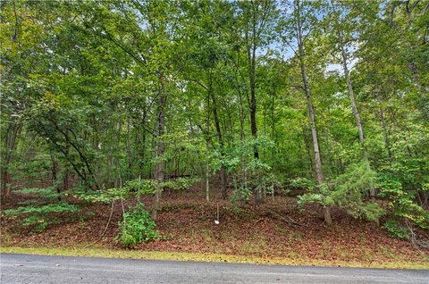 Wooded Residential Building Lot