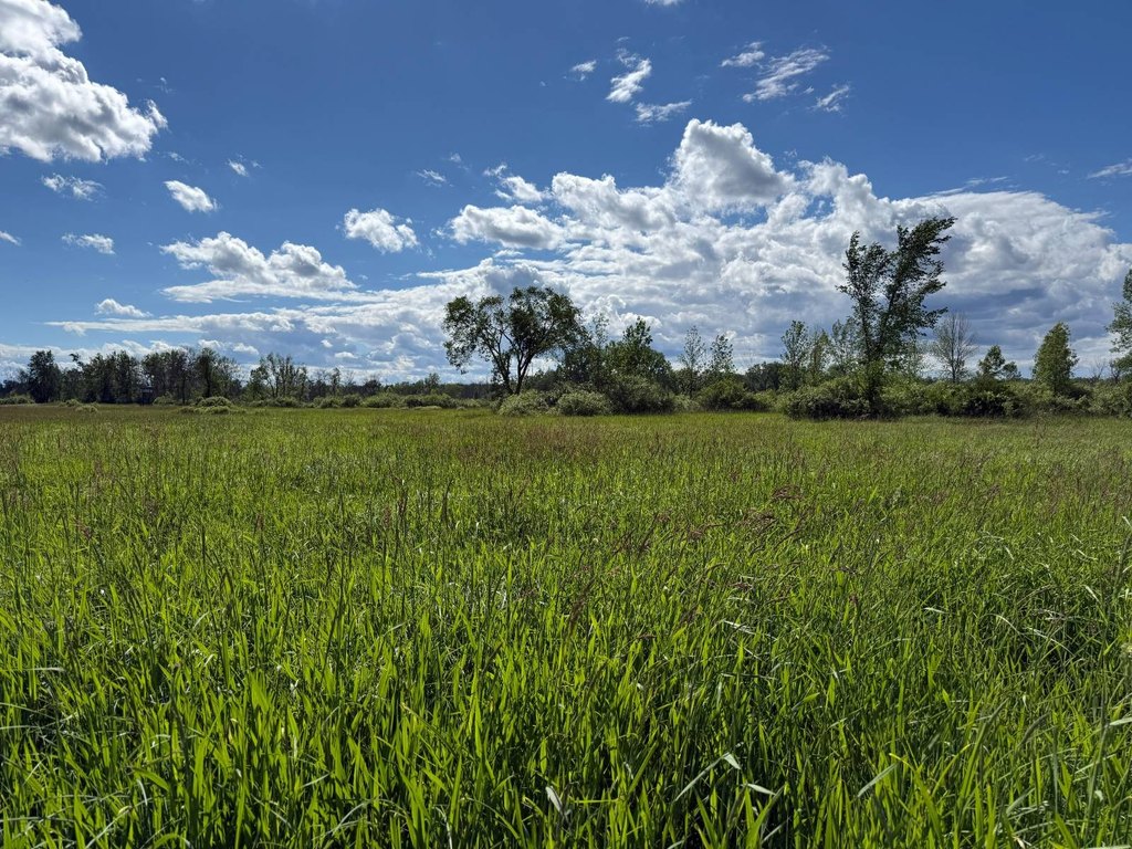 Picture 46