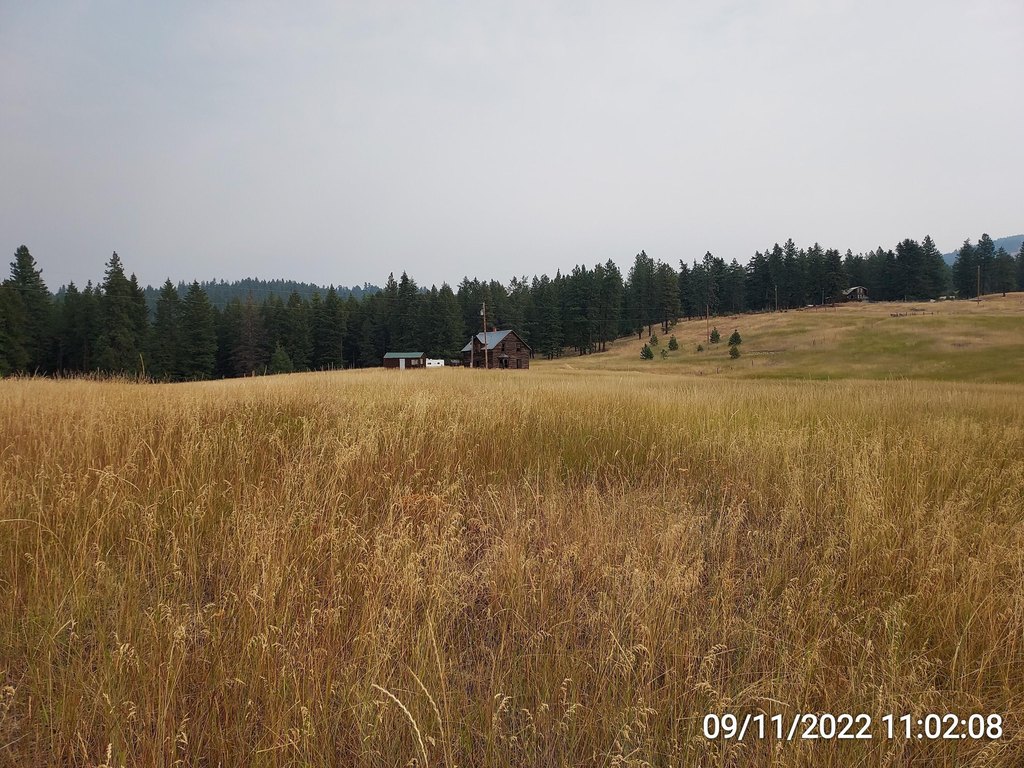 Picture 7