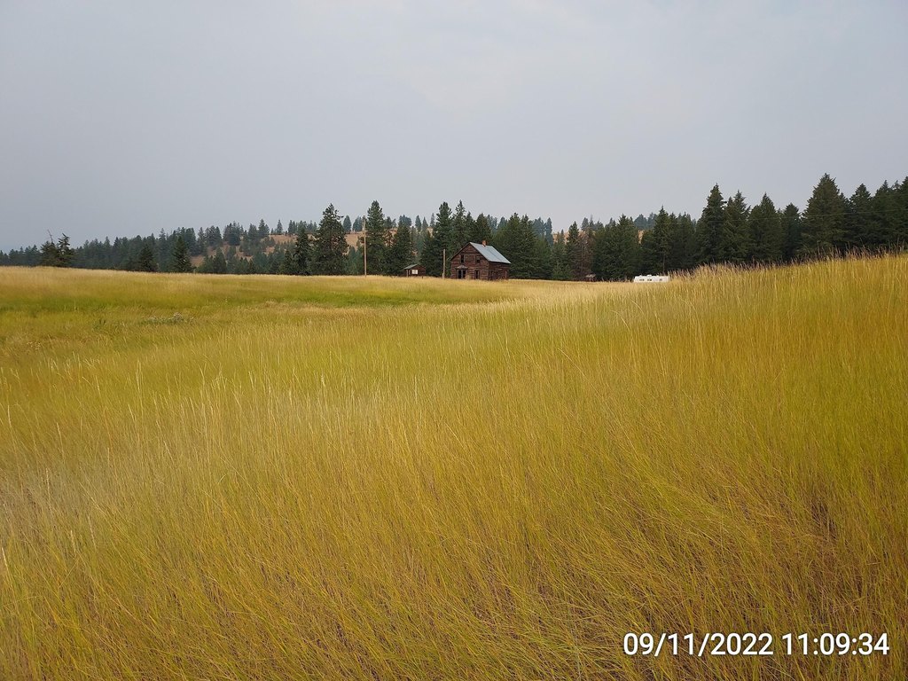 Picture 9