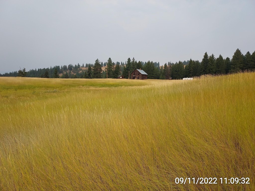 Picture 8