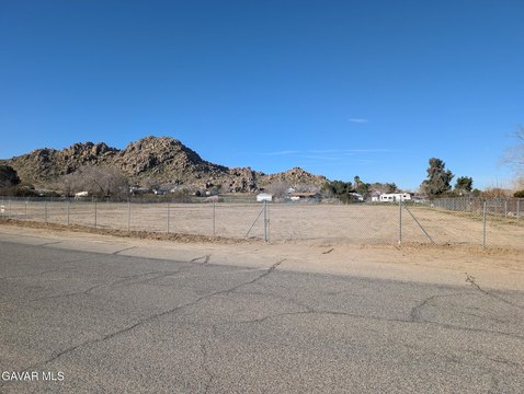 Cleared and Fenced Palmdale Land