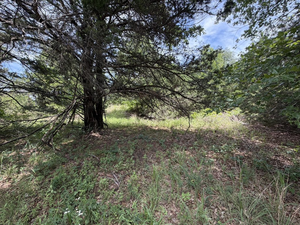 Picture 23