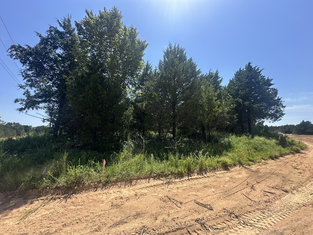 Picture 21