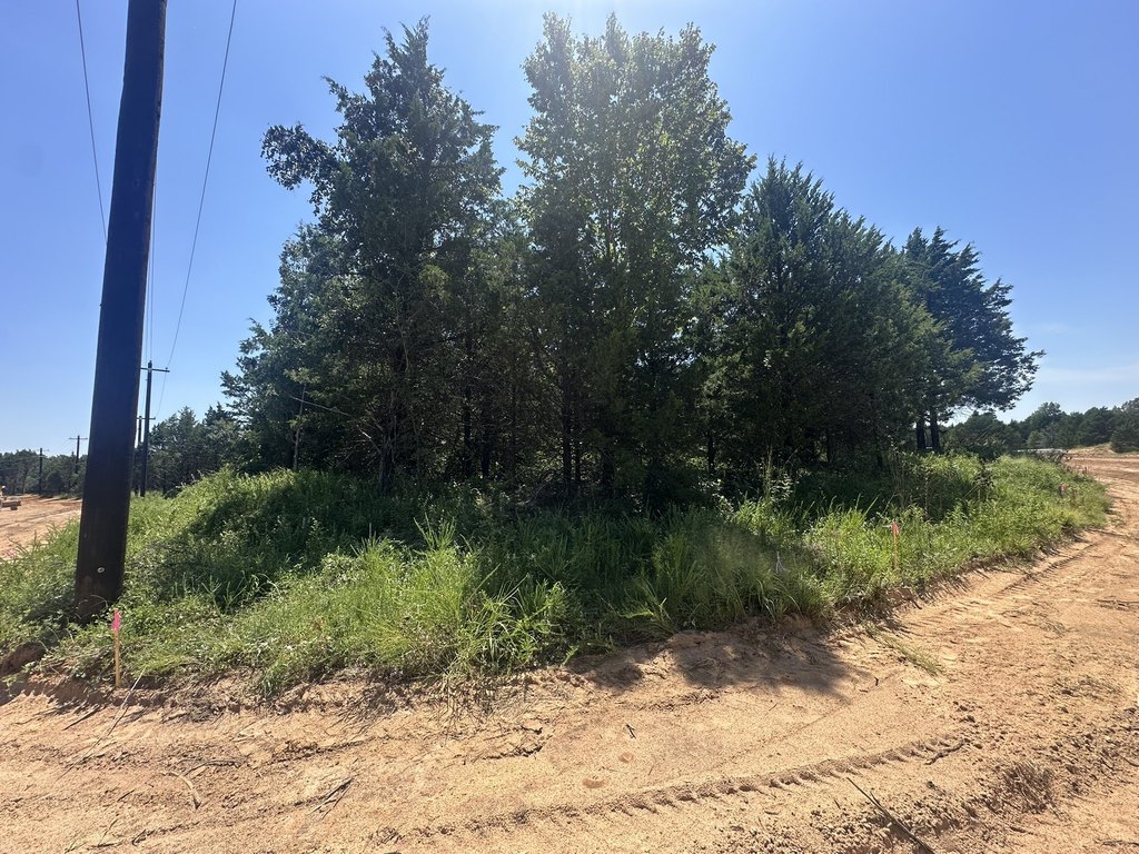 Picture 20