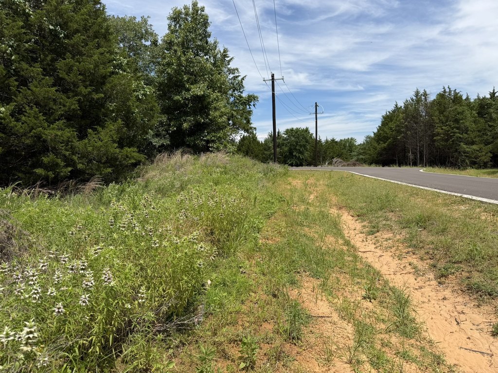 Picture 25