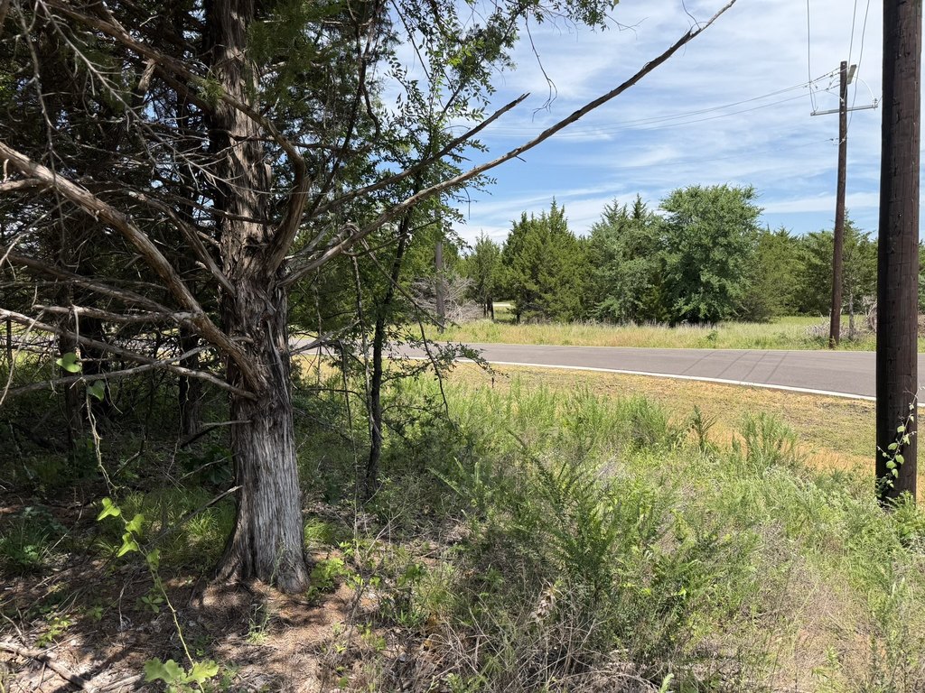 Picture 21