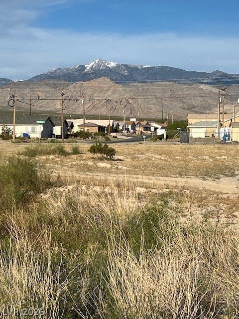 Picture 9