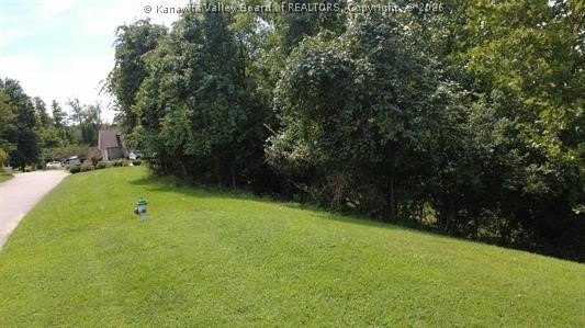 Picture 5