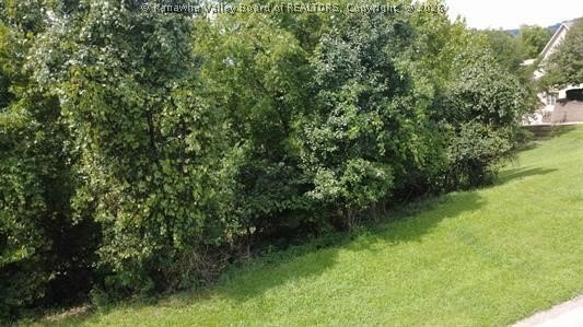 Picture 8