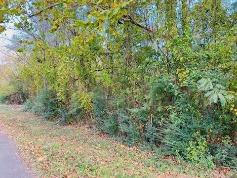 LAND - Mena, AR