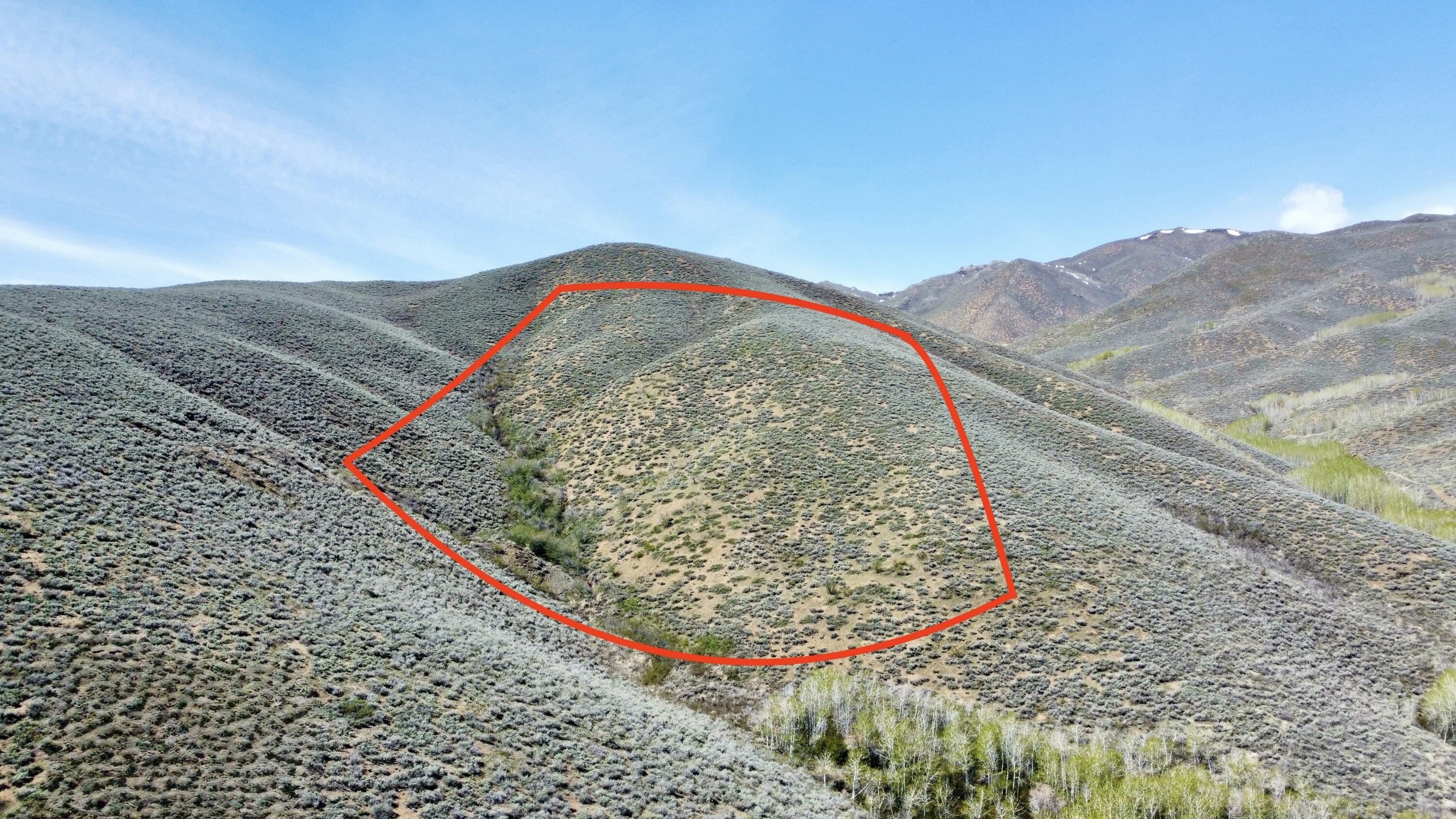 Bellevue Land with Mining Claim