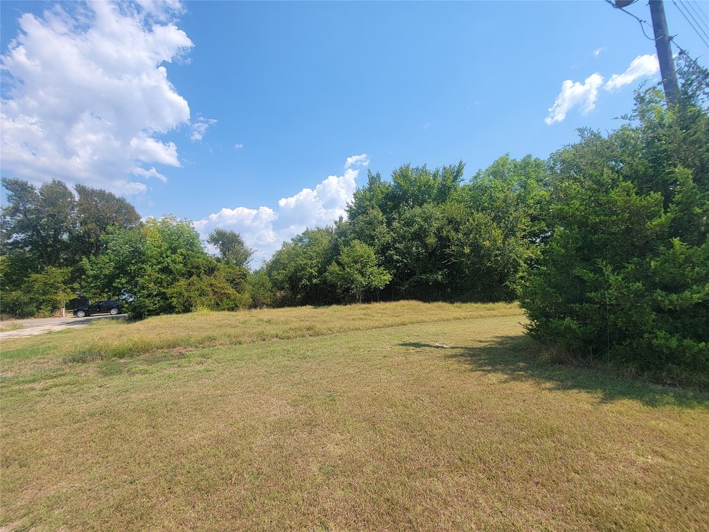 Picture 4
