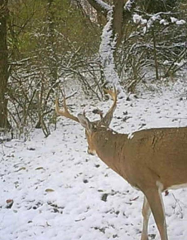 Picture 43