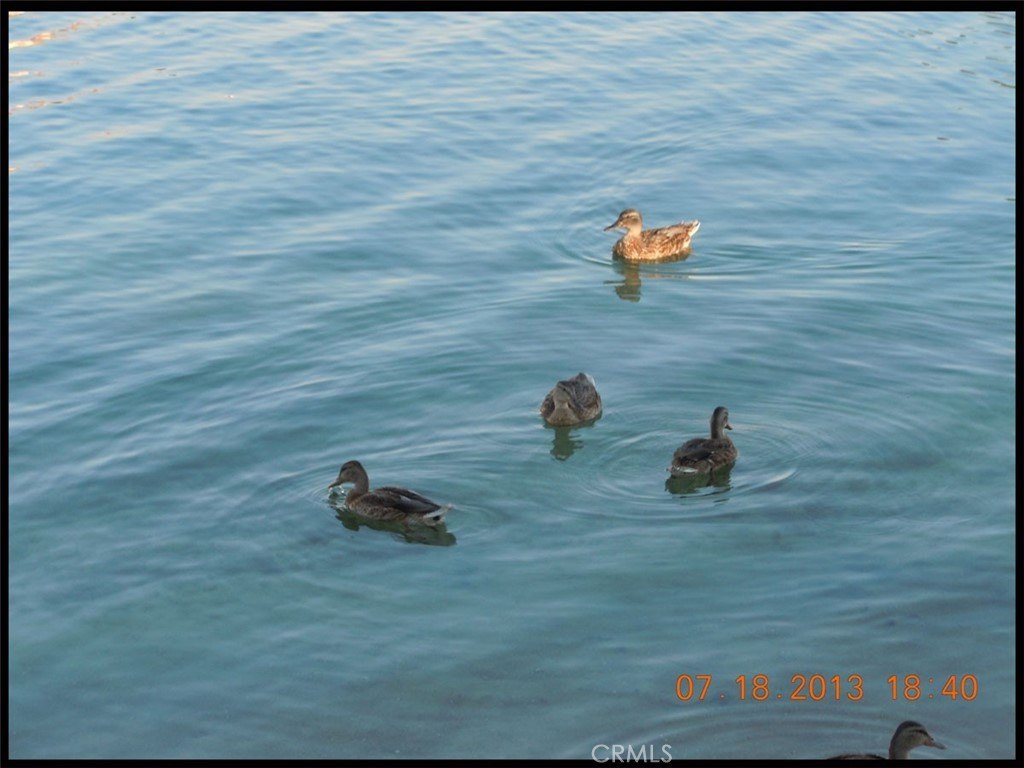 Picture 32