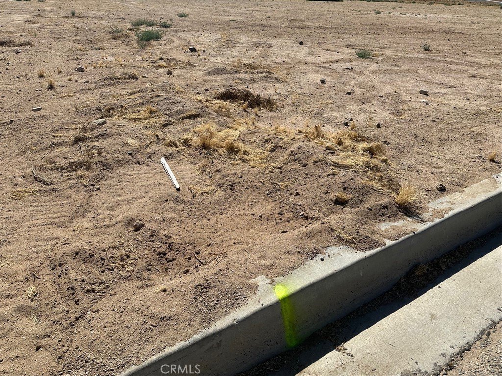 Picture 10