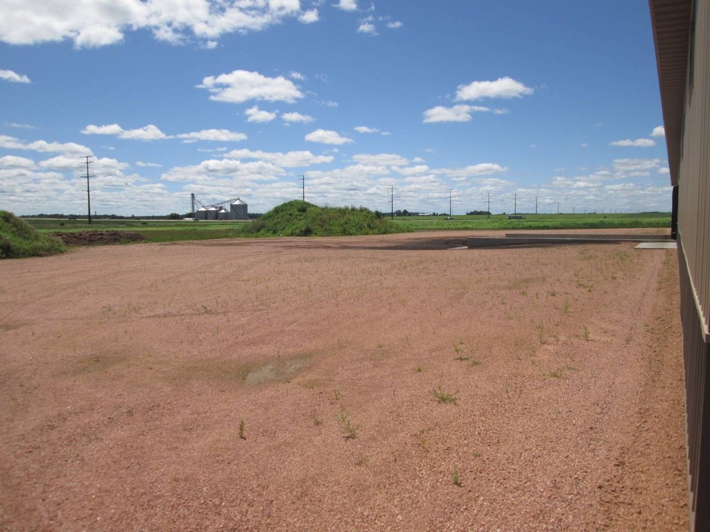 Picture 8