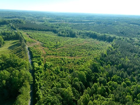 Timber Recreation Tract with Hay Field