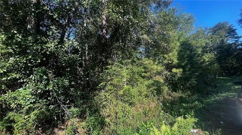 Vacant Treed Lot in Lacombe