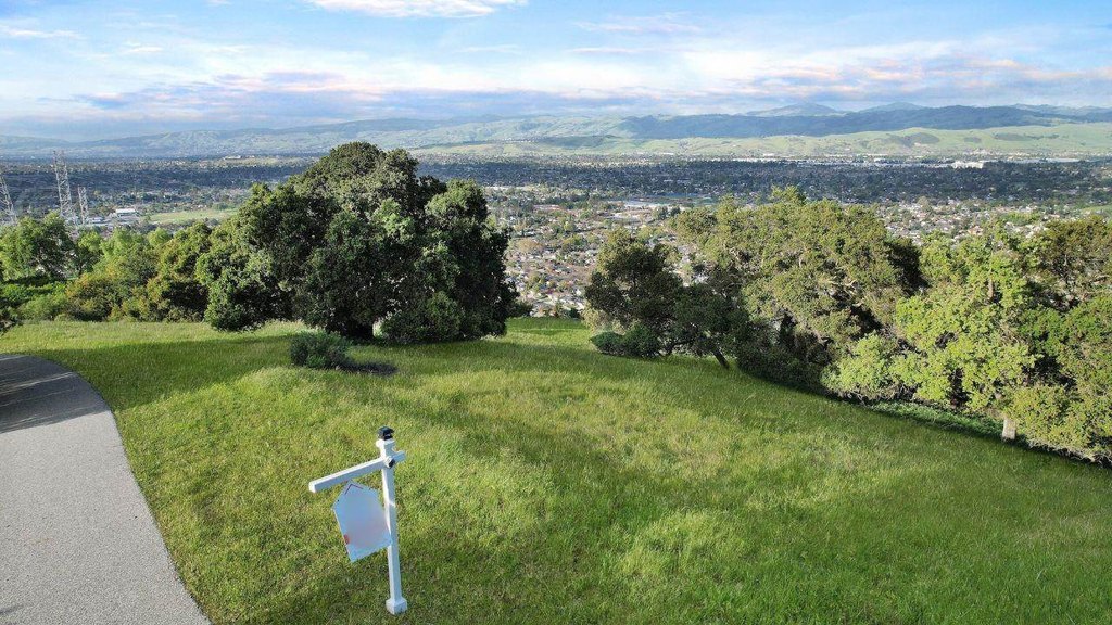 Picture 25