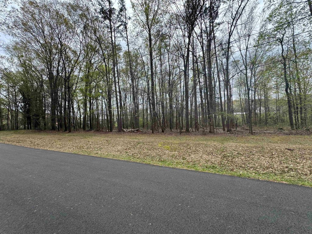 Picture 2