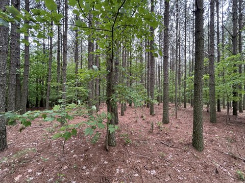 Residential Lot in Gated Community