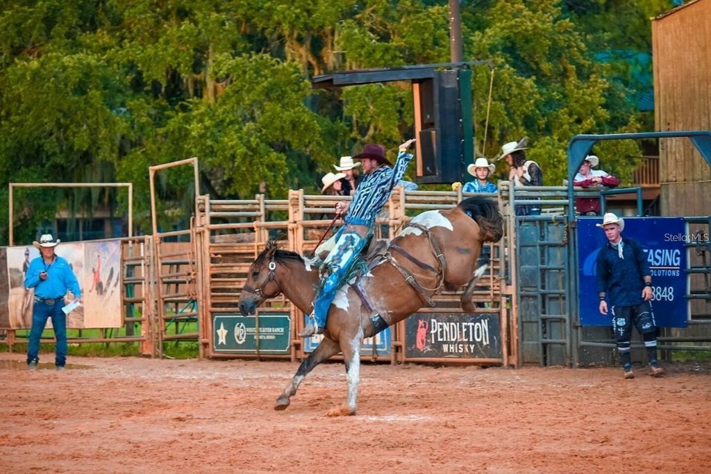 Picture 13