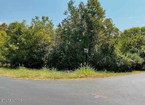 Lots & Acreage, Loudon, TN