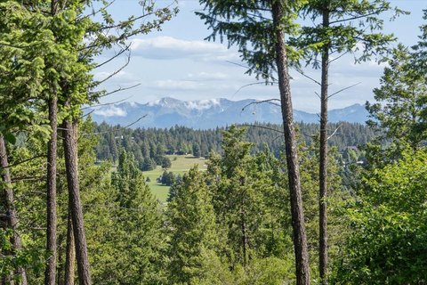 Eagle Bend View Lot