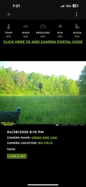 Picture 13