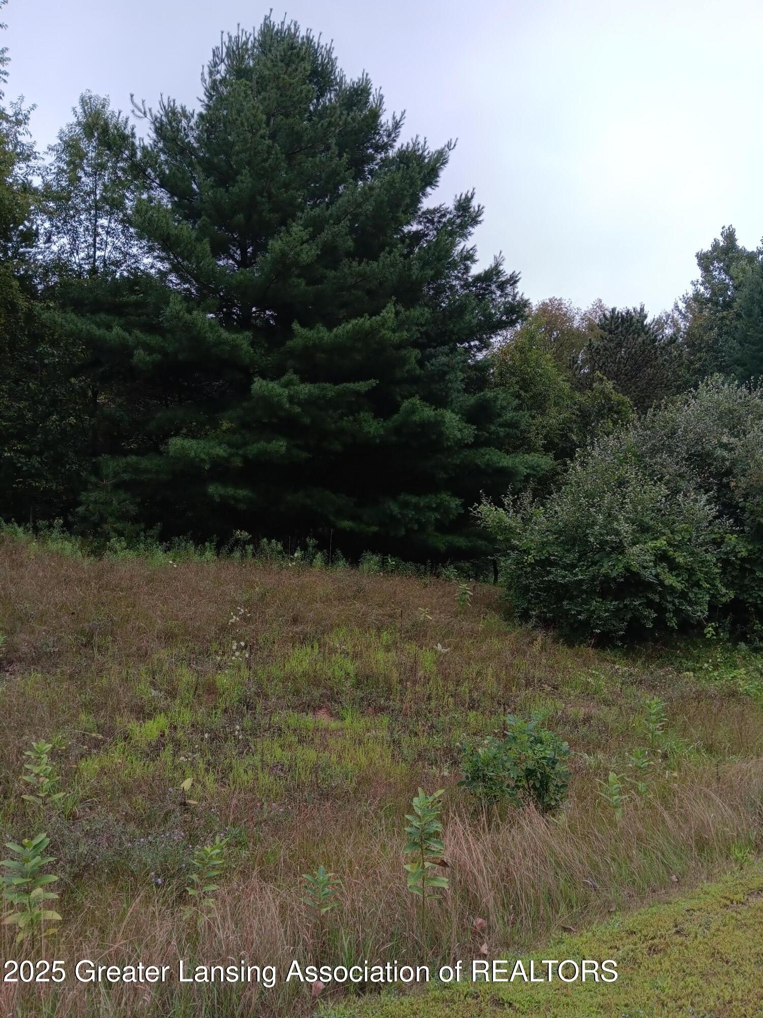 Residential Land in Owosso, MI