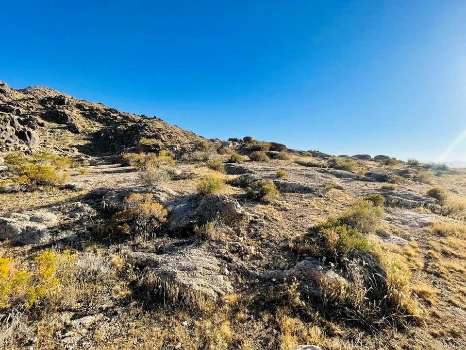 Picture 23