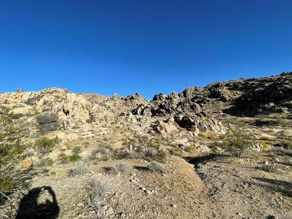 Picture 17
