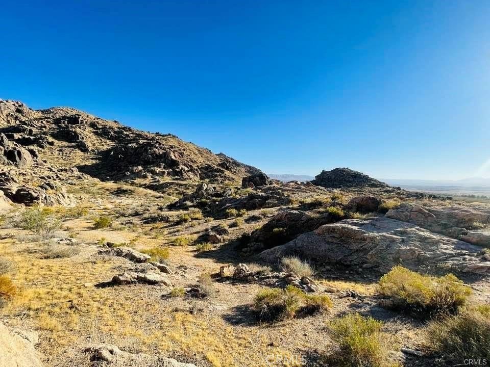 Picture 20