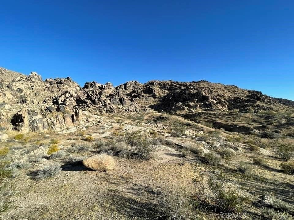 Picture 29