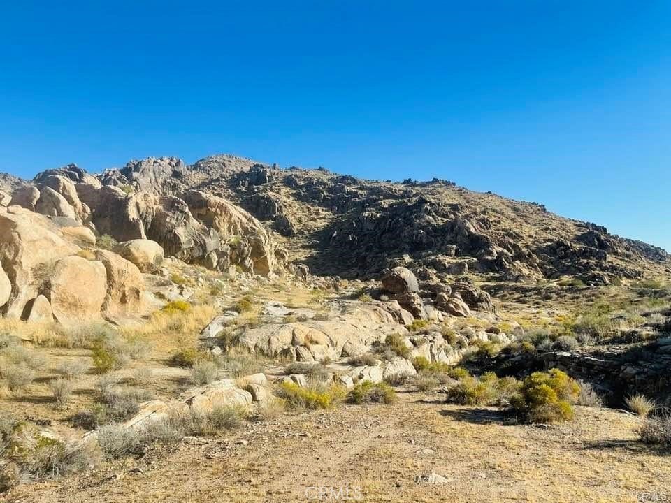 Picture 28